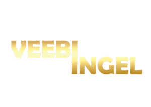 Veebi ingel